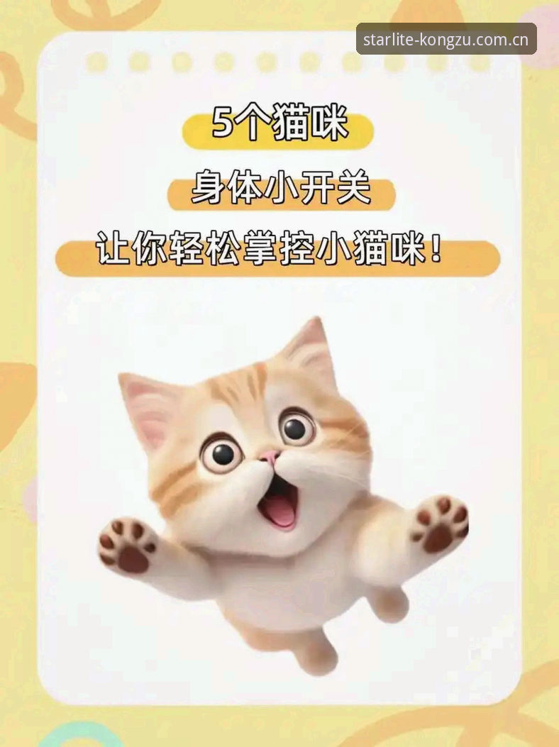 星空综合无缝掌控 星空体育平台实用入门指南——从注册到无缝掌控的必备知识